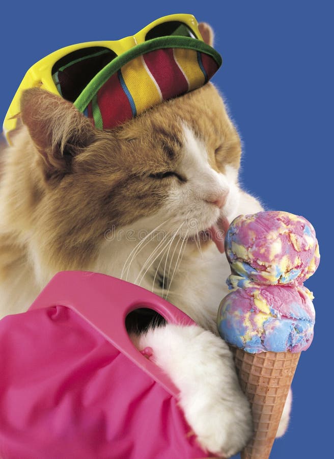 Giving cats ice cream hotsell