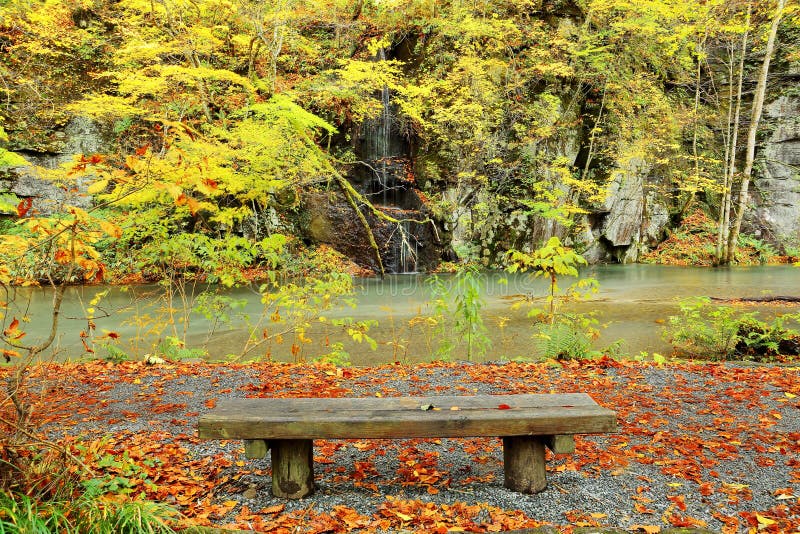 Pusta ławka tajemniczym Oirase strumieniem w jesień lesie Towada Hachimantai park narodowy w Aomori Japonia zdjęcia stock Pusta ławka tajemniczym Oirase strumieniem w jesień lesie Towada Hachimantai park narodowy w Aomori Japonia zdjęcia stock