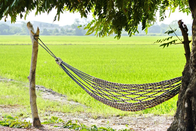 Pusty hamak outdoors obrazy stock Pusty hamak outdoors obrazy stock
