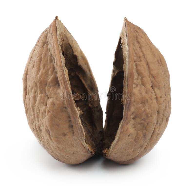 Pusty nutshell zdjęcia royalty free Pusty nutshell zdjęcia royalty free