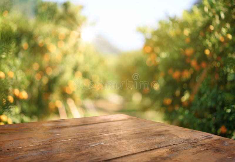 Pusty stolik drewniany z wolnym miejscem nad drzewami pomarańczowymi, pomarańczowym tłem pola Do montażu wyświetlacza produktu