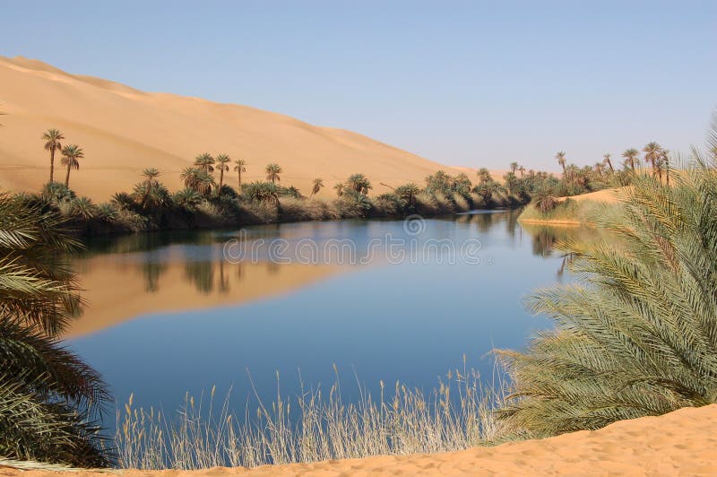 Pustynna oaza Sahara