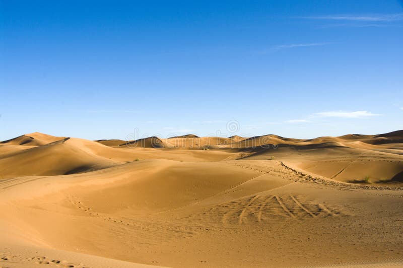 Pustynne diuny Sahara