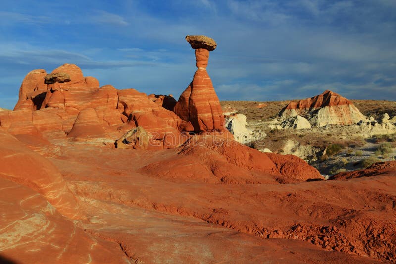 Pustynny krajobraz w Toadstools Rock Formations in Evening Light, Escalante National Monument, Utah, Stany Zjednoczone Ameryki fotografia stock Pustynny krajobraz w Toadstools Rock Formations in Evening Light, Escalante National Monument, Utah, Stany Zjednoczone Ameryki fotografia stock