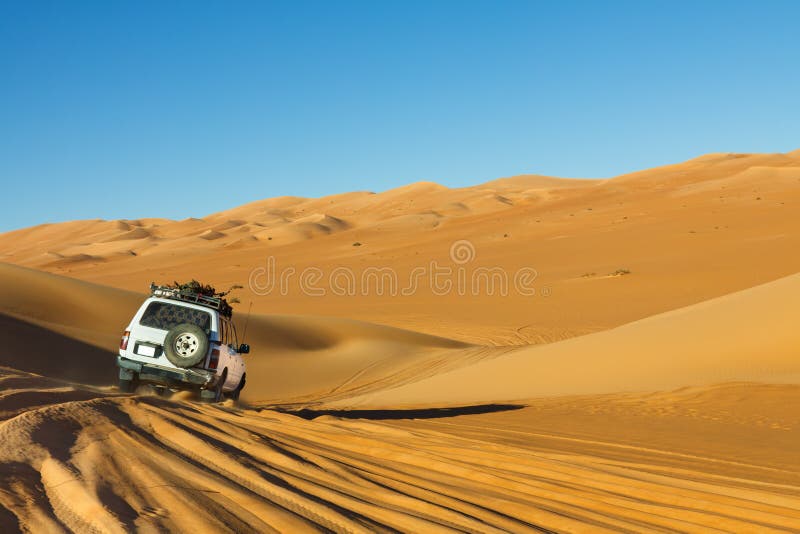 Pustynny safari Sahara