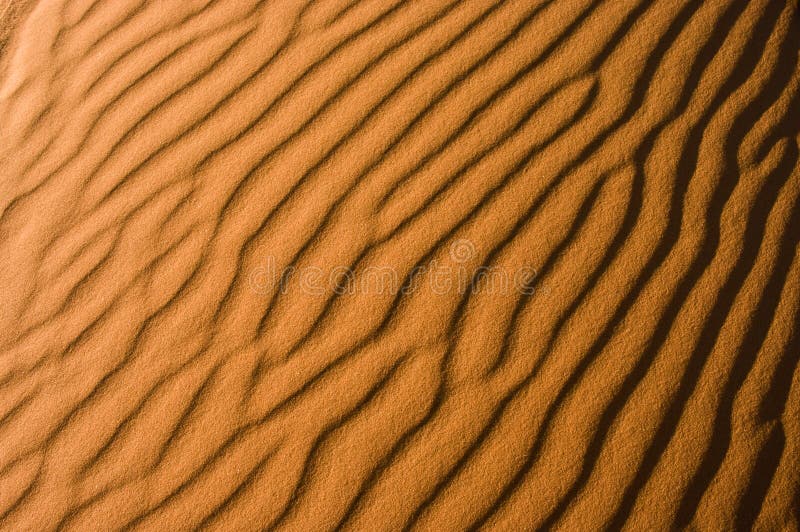 Pustynny szczegół Sahara
