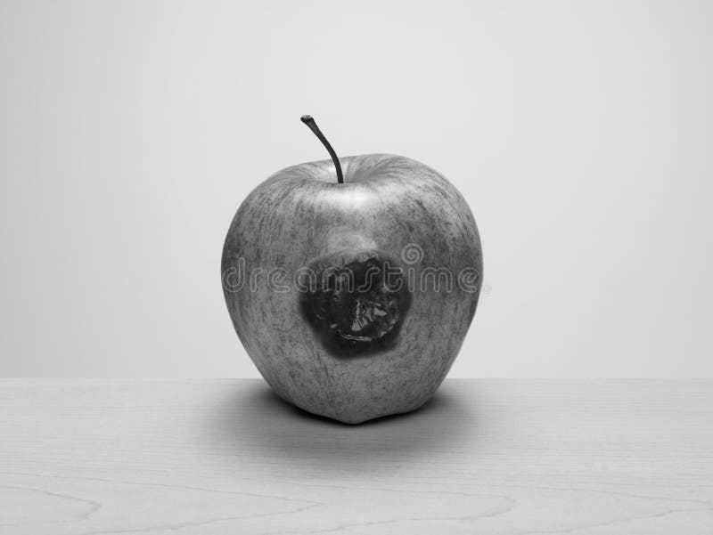 Putrefacto a la base, manzana contusionada en la tabla de madera foto de archivo libre de regalías Putrefacto a la base, manzana contusionada en la tabla de madera foto de archivo libre de regalías