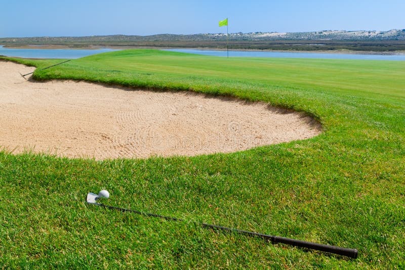 On Focus Shot of Back of a Golfer Holding a Club on a Green Golf Field. the Background is Out of