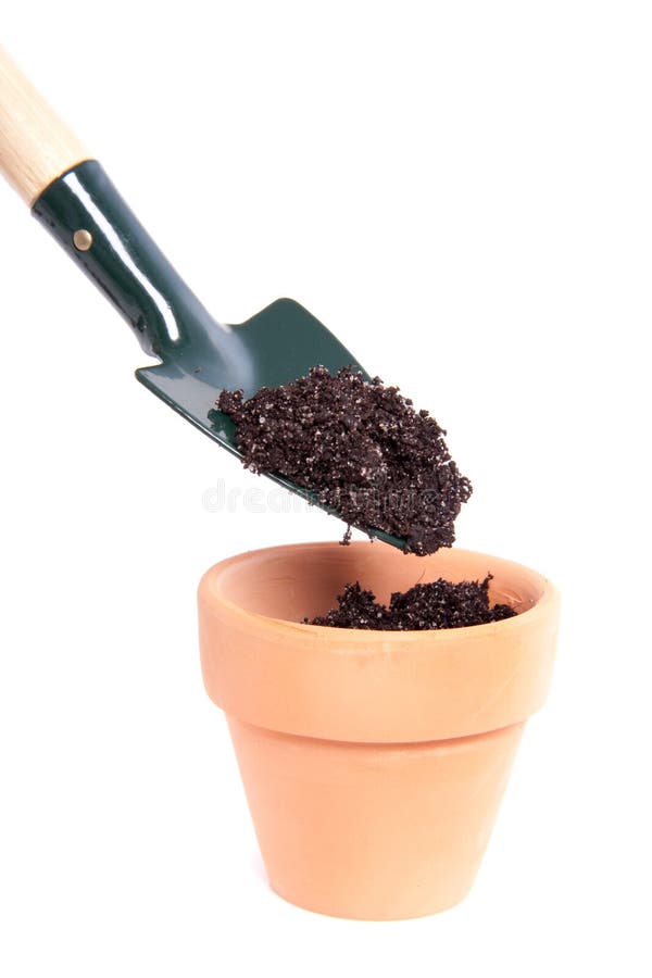 Putting soil in a terracotta pot