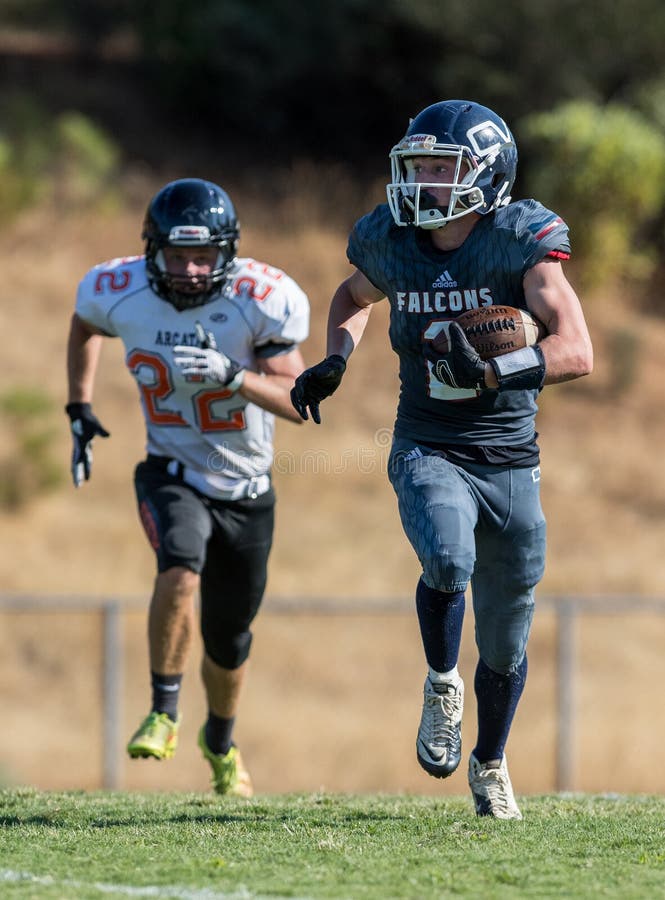 Può il ` t prendermi immagine stock libera da diritti