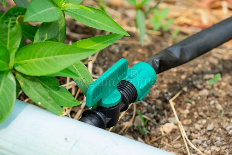 PVC Ball Valve on Ground for Watering Systems Stock Photo Image of