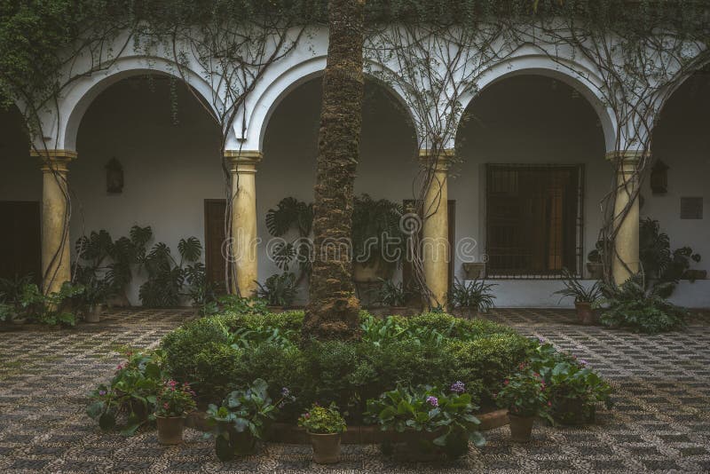 Spanish Patio garden stock photo. Image of estate, creeping 19537274