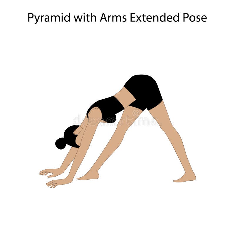pyramid arms extended pose yoga workout pyramid arms extended pose yoga workout white background vector 211714181