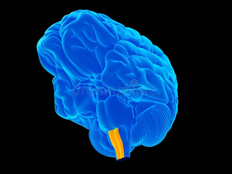 The pyramid royalty free illustration