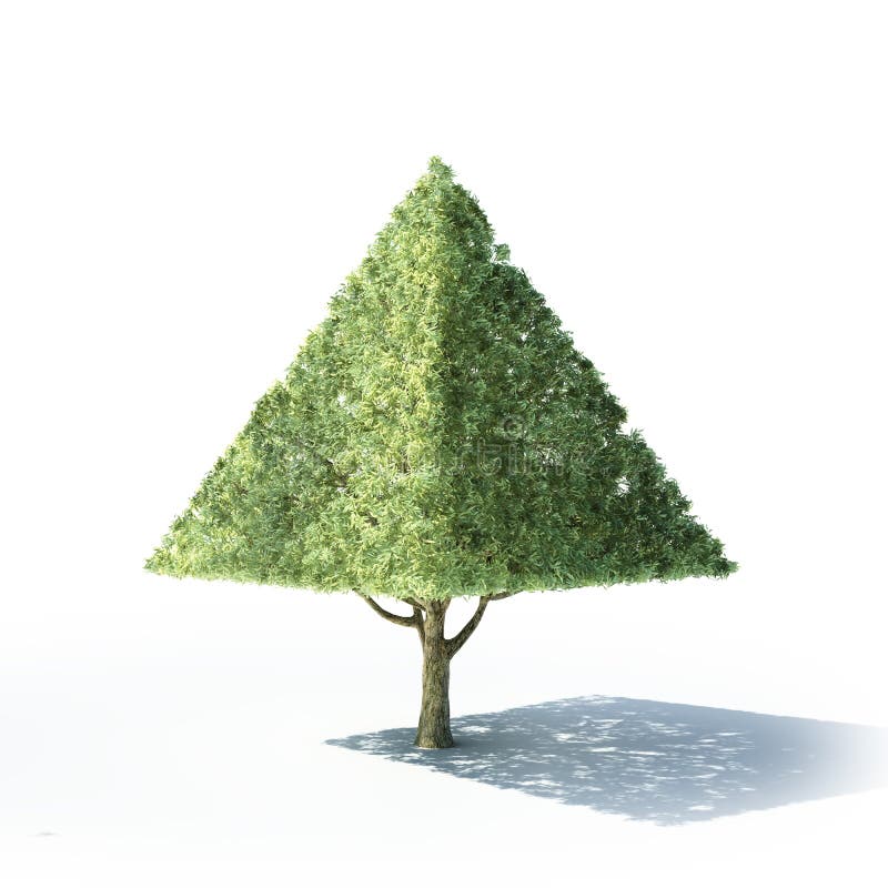 Pyramid Shaped Tree Stock Illustration Image Of Element 42432664