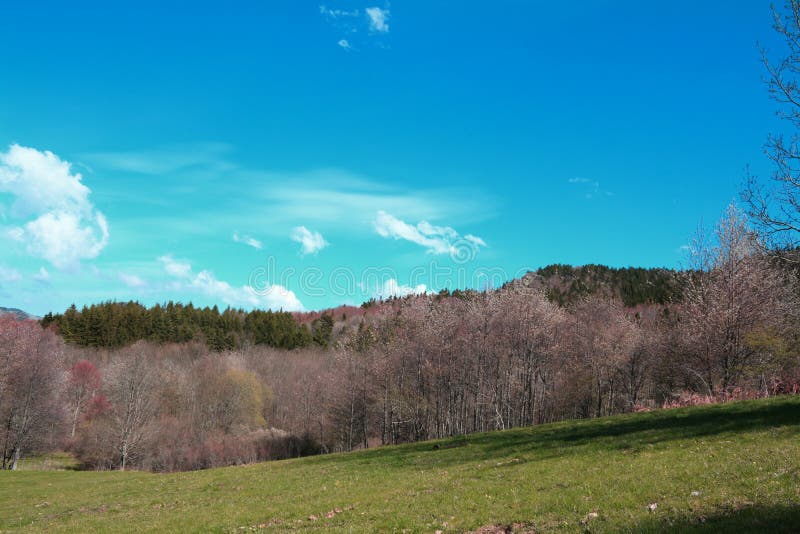 Pyrenean krajobraz w Aude, Occitanie w południe Francja