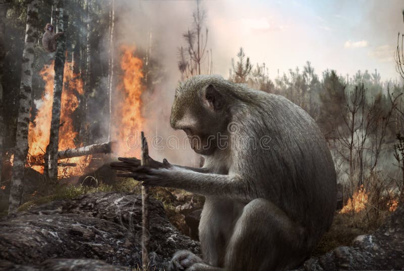 Pyromanmokey som st?ller in brand i skogen royaltyfri bild Pyromanmokey som st?ller in brand i skogen royaltyfri bild