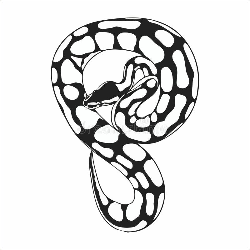 Μινιμαλιστική απεικόνιση μπάλας python, ασπρόμαυρη διανυσματική τέχνη απεικόνιση αποθεμάτων