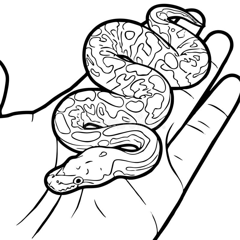 γραμμή εικονογράφησης μωρού python σφαίρας για βιβλίο ζωγραφικής σε ανθρώπινο χέρι ελεύθερη απεικόνιση δικαιώματος