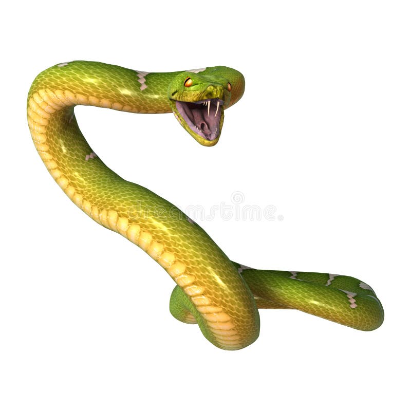 Πράσινο δέντρο Python στο λευκό στοκ φωτογραφία με δικαίωμα ελεύθερης χρήσης