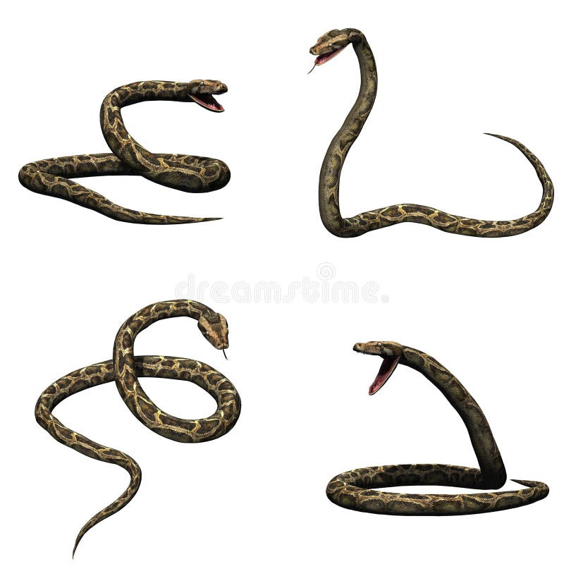 设置Python用在白色背景的不同的运动 皇族释放例证