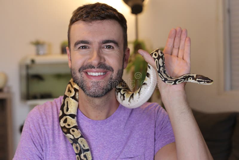 Άνδρας που κρατά ένα `python regius` ή ένα `ball python` στοκ εικόνες με δικαίωμα ελεύθερης χρήσης