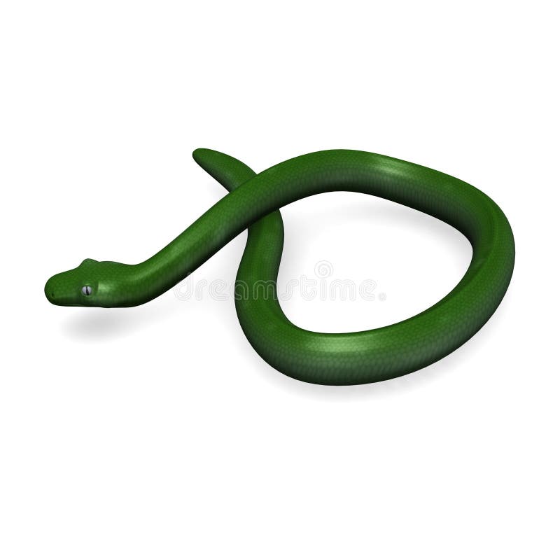 3d rendent du python vert