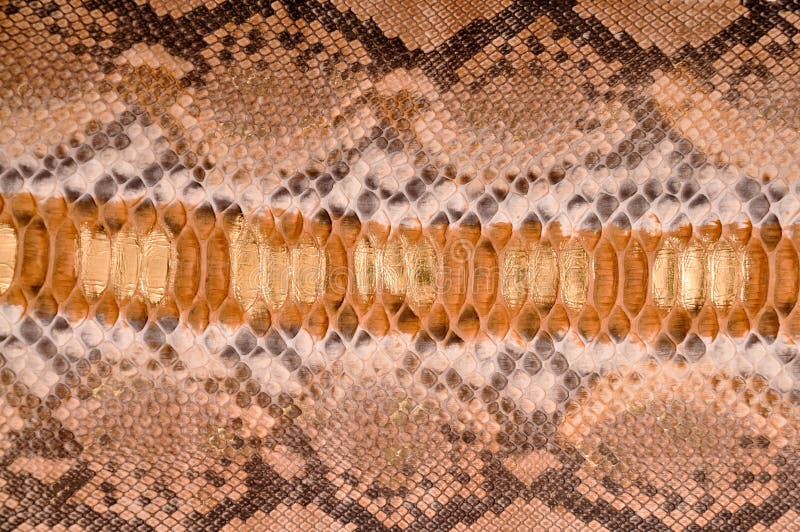 Schließen Sie herauf natürliches Pythonschlangeleder.