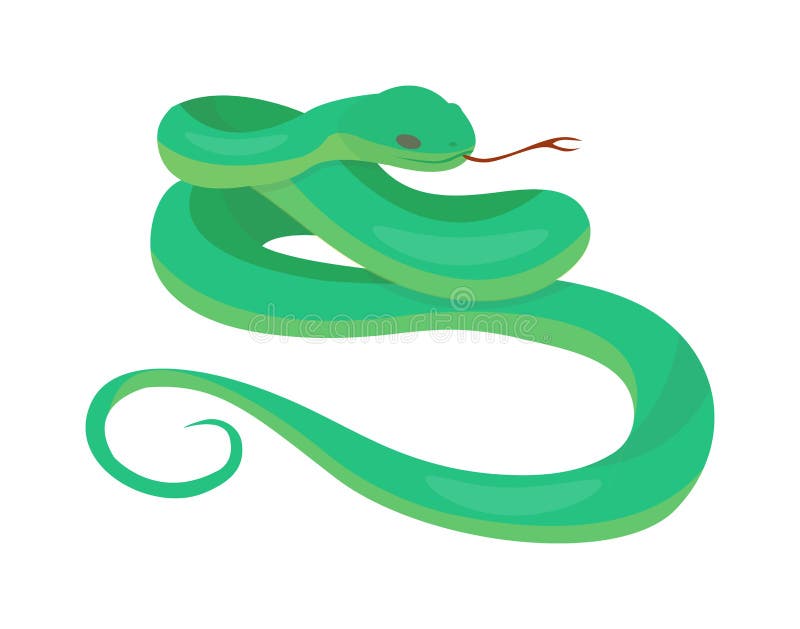Pytonu boa wąż. Pyton siatkował albinosa boa węża constrictor przyrody natury węża wektoru ilustrację Boa węża przyrody natury zwierzęcia i egzota boa złocisty wąż Szturmowy pełzający drapieżnika niebezpieczeństwa wąż