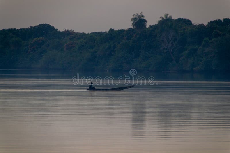 Pá no barco a remos no rio de Gâmbia fotografia de stock Pá no barco a remos no rio de Gâmbia fotografia de stock