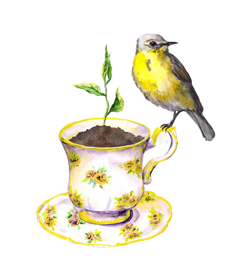Pájaro, brote de la primavera - planta creciente verde en taza de té watercolor libre illustration Pájaro, brote de la primavera - planta creciente verde en taza de té watercolor libre illustration