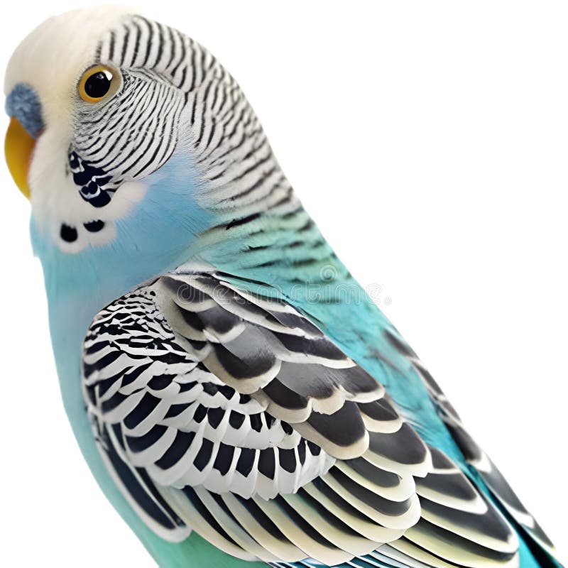 Pájaro Bugerigar brillante con colores vivos que muestran un encanto único. ilustración del vector