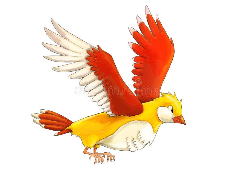 Pájaro colorido exótico de la historieta - volando en el fondo blanco libre illustration Pájaro colorido exótico de la historieta - volando en el fondo blanco libre illustration