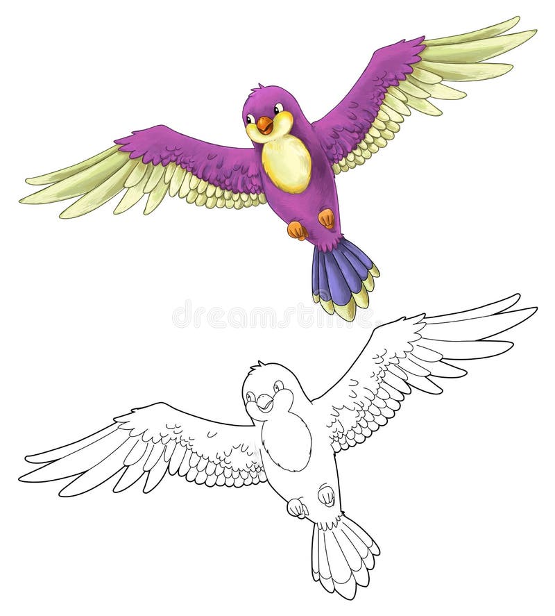 Pájaro colorido exótico de la historieta - vuelo - aislado - con la página del colorante ilustración del vector Pájaro colorido exótico de la historieta - vuelo - aislado - con la página del colorante ilustración del vector