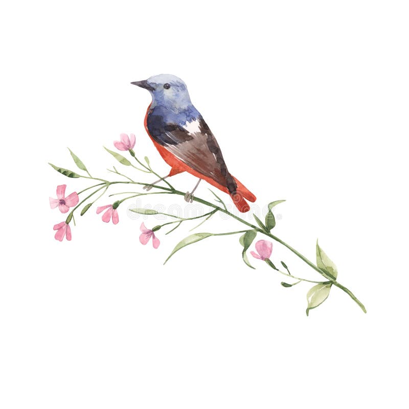 Pájaro de la acuarela en la flor stock de ilustración Pájaro de la acuarela en la flor stock de ilustración
