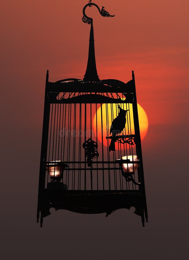 Singing bird in a cage at night, against the setting sun. Singing bird in a cage at night, against the setting sun