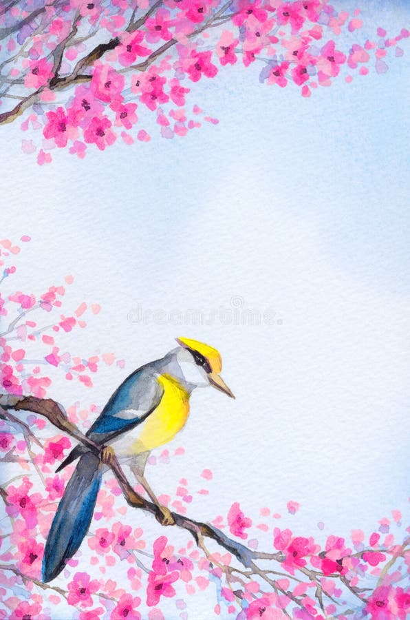 Pájaro hermoso en la ramificación floreciente Pintura de la acuarela ilustración del vector Pájaro hermoso en la ramificación floreciente Pintura de la acuarela ilustración del vector