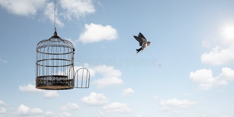 A bird flying away out of an open birdcage. Blue sky background with clouds and the sun. A bird flying away out of an open birdcage. Blue sky background with clouds and the sun.