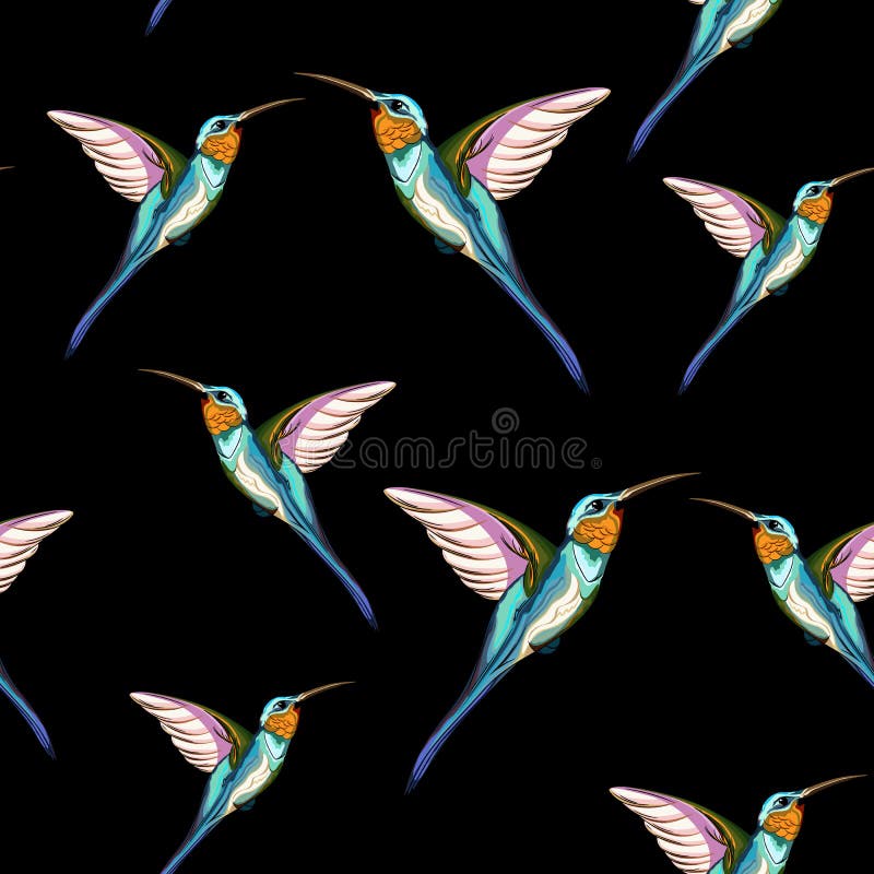 Pájaros del tarareo Modelo inconsútil del pájaro tropical exótico del tarareo Ilustración drenada mano libre illustration Pájaros del tarareo Modelo inconsútil del pájaro tropical exótico del tarareo Ilustración drenada mano libre illustration