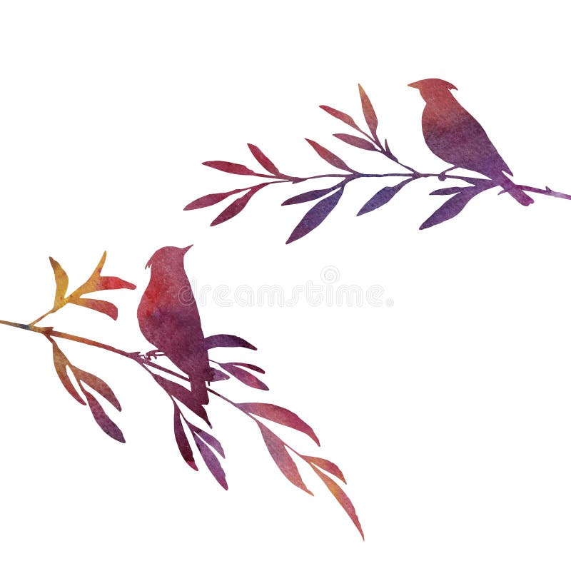 Watercolor silhouettes of birds at tree, hand drawn songbirds at branch, Valentine symbol, a pair of lovers, isolated painted nature element. Watercolor silhouettes of birds at tree, hand drawn songbirds at branch, Valentine symbol, a pair of lovers, isolated painted nature element