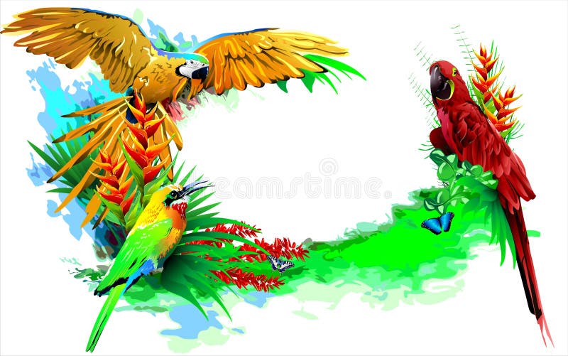 Pájaros tropicales (Vector) ilustración del vector Pájaros tropicales (Vector) ilustración del vector