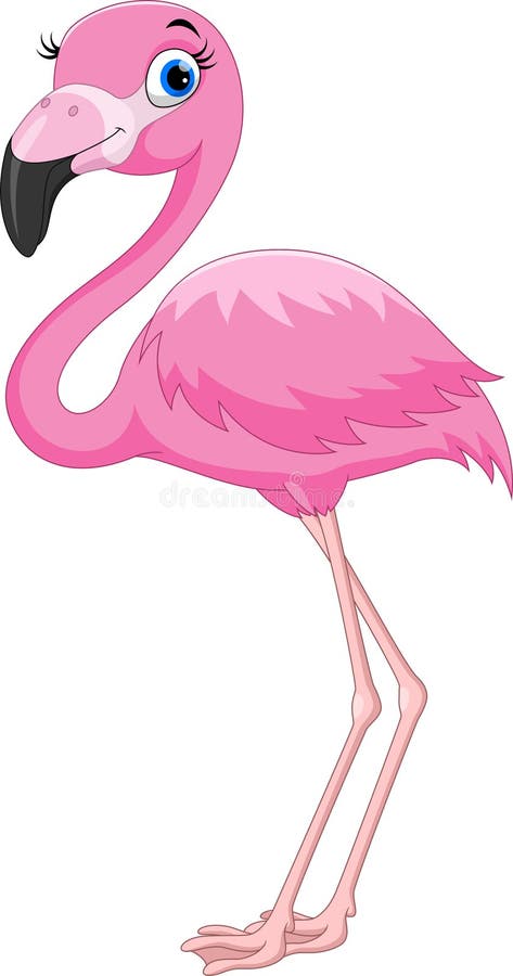 Pássaro cor-de-rosa do flamingo dos desenhos animados Engraçado e adorável ilustração royalty free