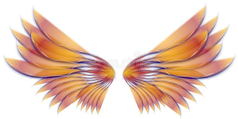 Asas de Anjo ou Asas de Fada Douradas ilustração do vetor