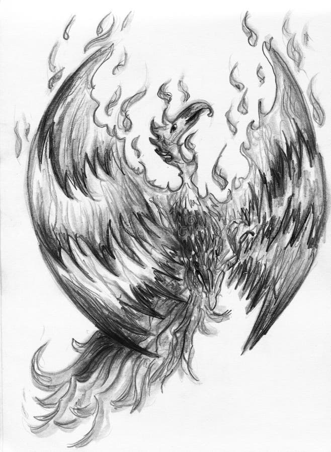 Ave de fogo - fénix ilustração stock