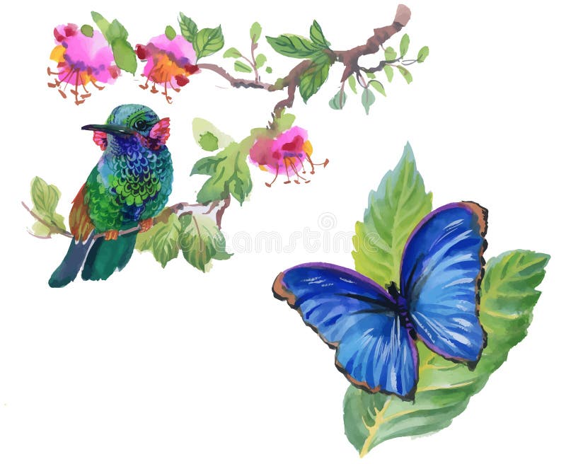 Aquarela colorida de pássaro e borboleta com folhas e flores ilustração stock