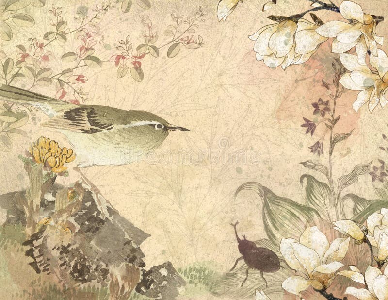 Pássaro japonês do século XVIII do vintage - papel de fundo floral - magnólias ilustração stock Pássaro japonês do século XVIII do vintage - papel de fundo floral - magnólias ilustração stock