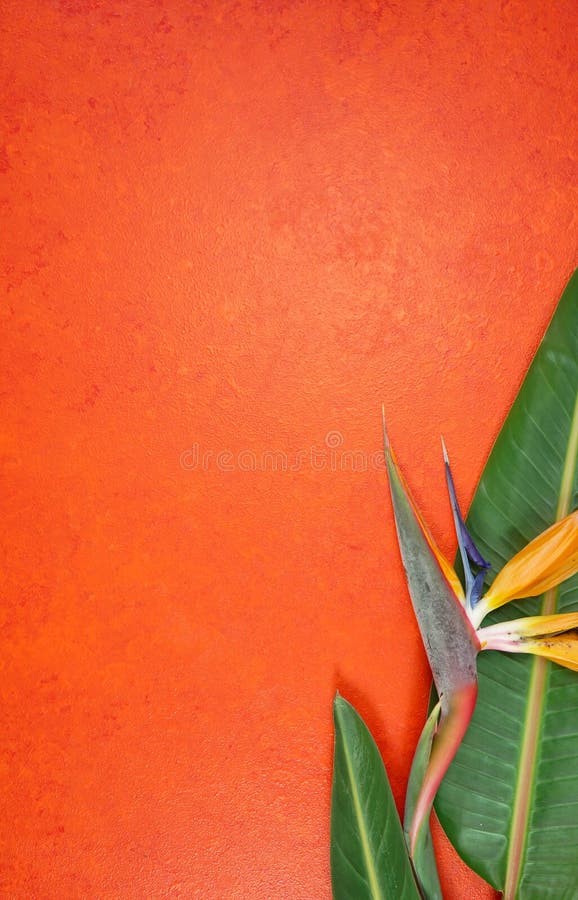 Pássaro tema tropical do paraíso flores em um fundo texturizado cor de laranja.