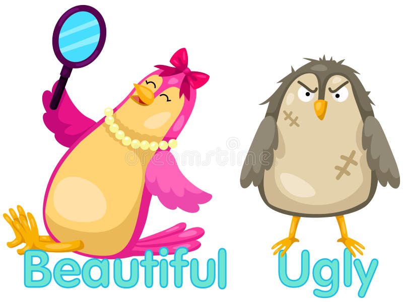 Pássaros bonitos com palavras opostas ilustração royalty free Pássaros bonitos com palavras opostas ilustração royalty free