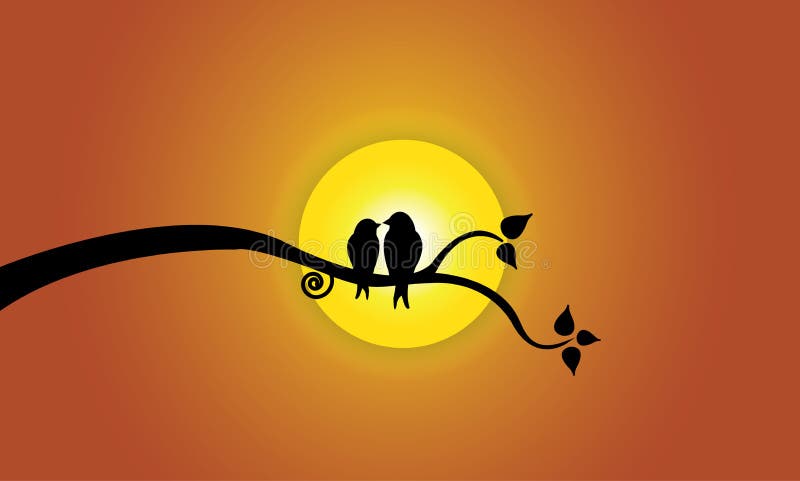 Pássaros novos felizes do amor no ramo de árvore durante o por do sol & o céu alaranjado