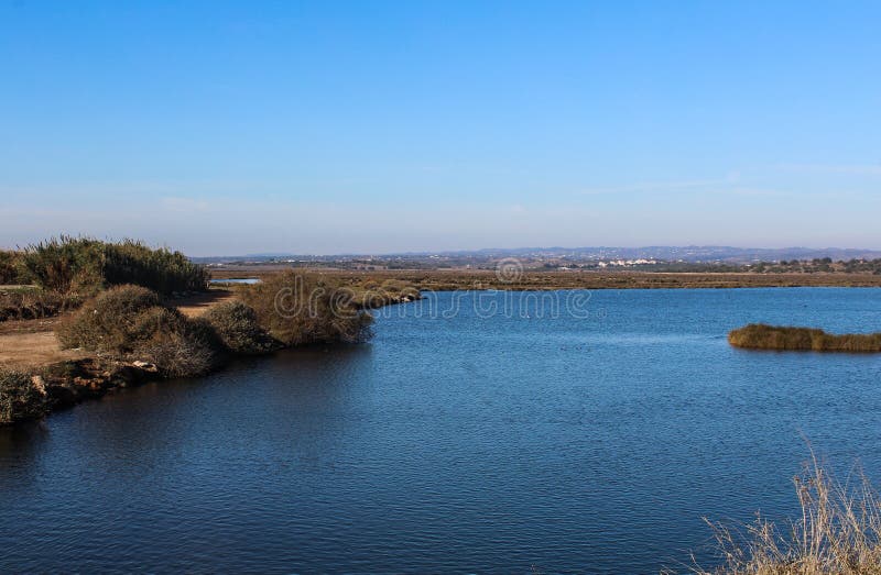 Pântano de Castro Marim Marsh Natural Reserve, Vila Real de Santo Antonio em Portugal foto de stock Pântano de Castro Marim Marsh Natural Reserve, Vila Real de Santo Antonio em Portugal foto de stock